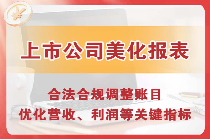 潼南上市公司美化报表